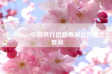 包头中国执行信息查询公开网怎么查询