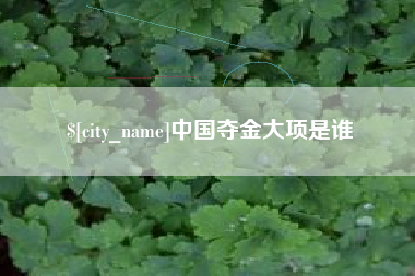 包头中国夺金大项是谁