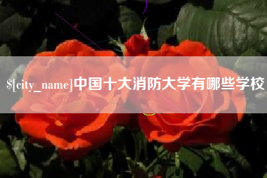 包头中国十大消防大学有哪些学校