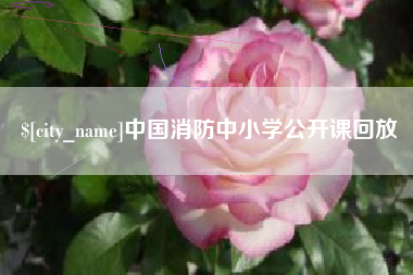 包头中国消防中小学公开课回放