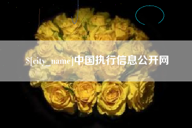 包头中国执行信息公开网