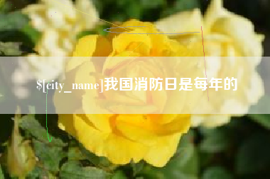 包头我国消防日是每年的