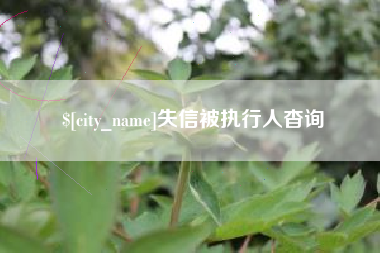 包头失信被执行人杳询