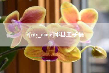 包头邱县王子磊