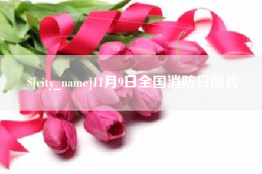 包头11月9日全国消防日图片