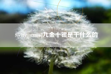 包头九金十银是干什么的