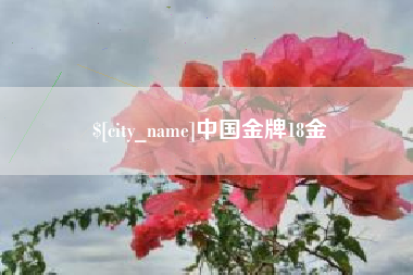 包头中国金牌18金