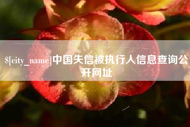 包头中国失信被执行人信息查询公开网址