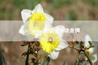 包头奥运会39块金牌