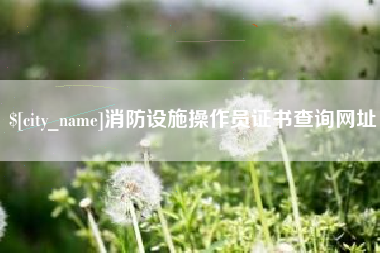 包头消防设施操作员证书查询网址