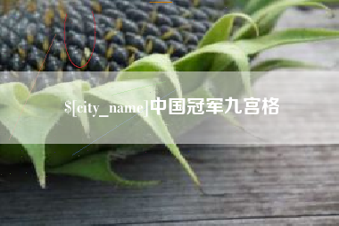 包头中国冠军九宫格