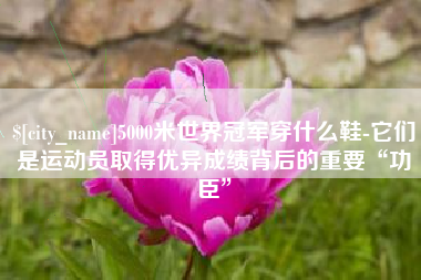 包头5000米世界冠军穿什么鞋-它们是运动员取得优异成绩背后的重要“功臣”