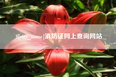 包头消防证网上查询网站