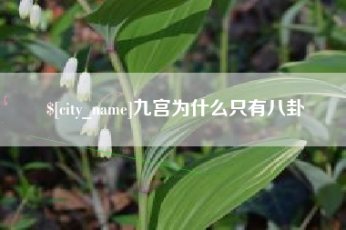 包头九宫为什么只有八卦