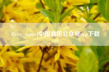 包头中国消防公众号app下载