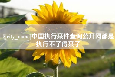 包头中国执行案件查询公开网都是执行不了得案子