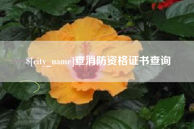 包头查消防资格证书查询