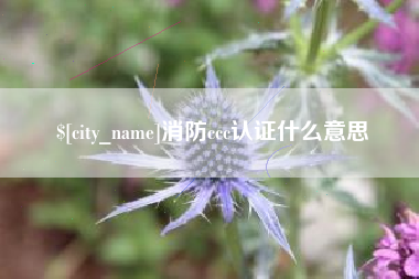 包头消防ccc认证什么意思
