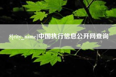 包头中国执行信息公开网查询