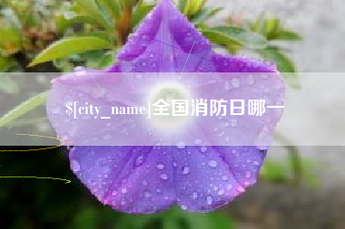 包头全国消防日哪一