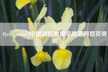 包头中国消防救援学院官网首页查询