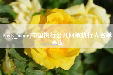 包头中国执行公开网被执行人名单查询