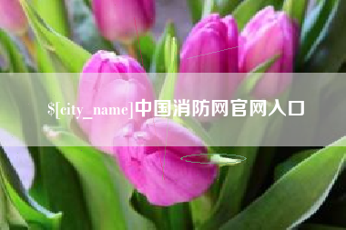 包头中国消防网官网入口