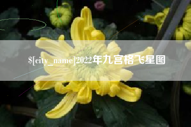 包头2022年九宫格飞星图