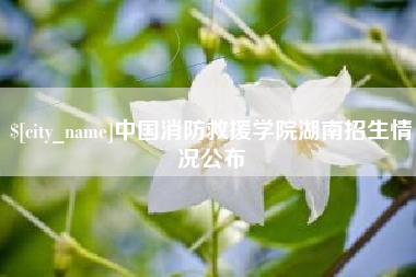 包头中国消防救援学院湖南招生情况公布
