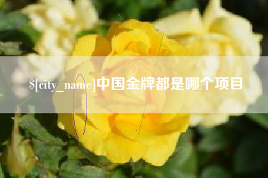 包头中国金牌都是哪个项目