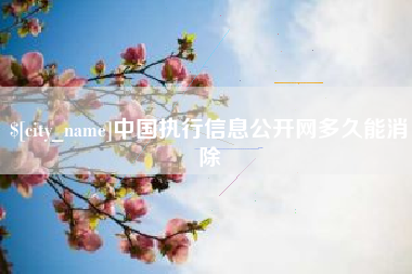 包头中国执行信息公开网多久能消除