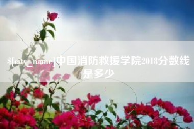 包头中国消防救援学院2018分数线是多少