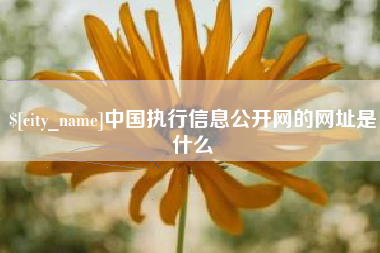 包头中国执行信息公开网的网址是什么