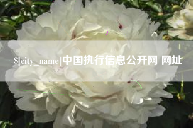 包头中国执行信息公开网 网址
