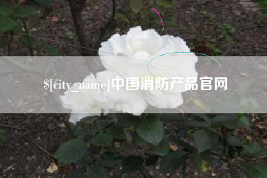 包头中国消防产品官网