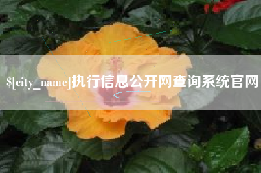 包头执行信息公开网查询系统官网