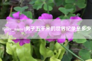 包头男子五千米的世界纪录是多少