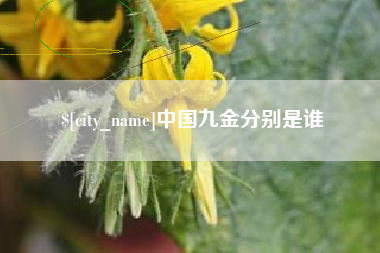 包头中国九金分别是谁