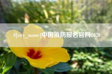 包头中国消防报名官网2020