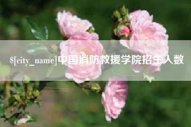 包头中国消防救援学院招生人数