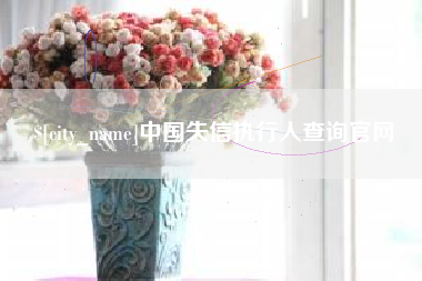 包头中国失信执行人查询官网