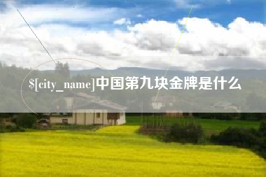 包头中国第九块金牌是什么