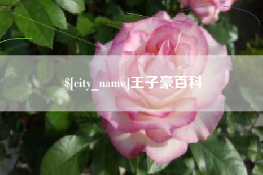 包头王子豪百科