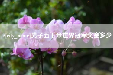 包头男子五千米世界冠军奖金多少