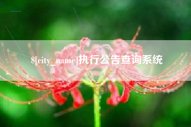 包头执行公告查询系统