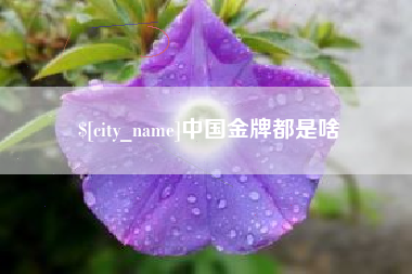 包头中国金牌都是啥