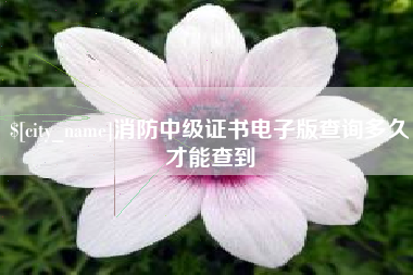 包头消防中级证书电子版查询多久才能查到