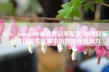 包头5000米世界冠军配速-世界冠军们往往能在比赛中巧妙地分配体力