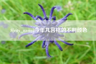 包头今年九宫格的不利颜色