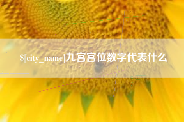 包头九宫宫位数字代表什么